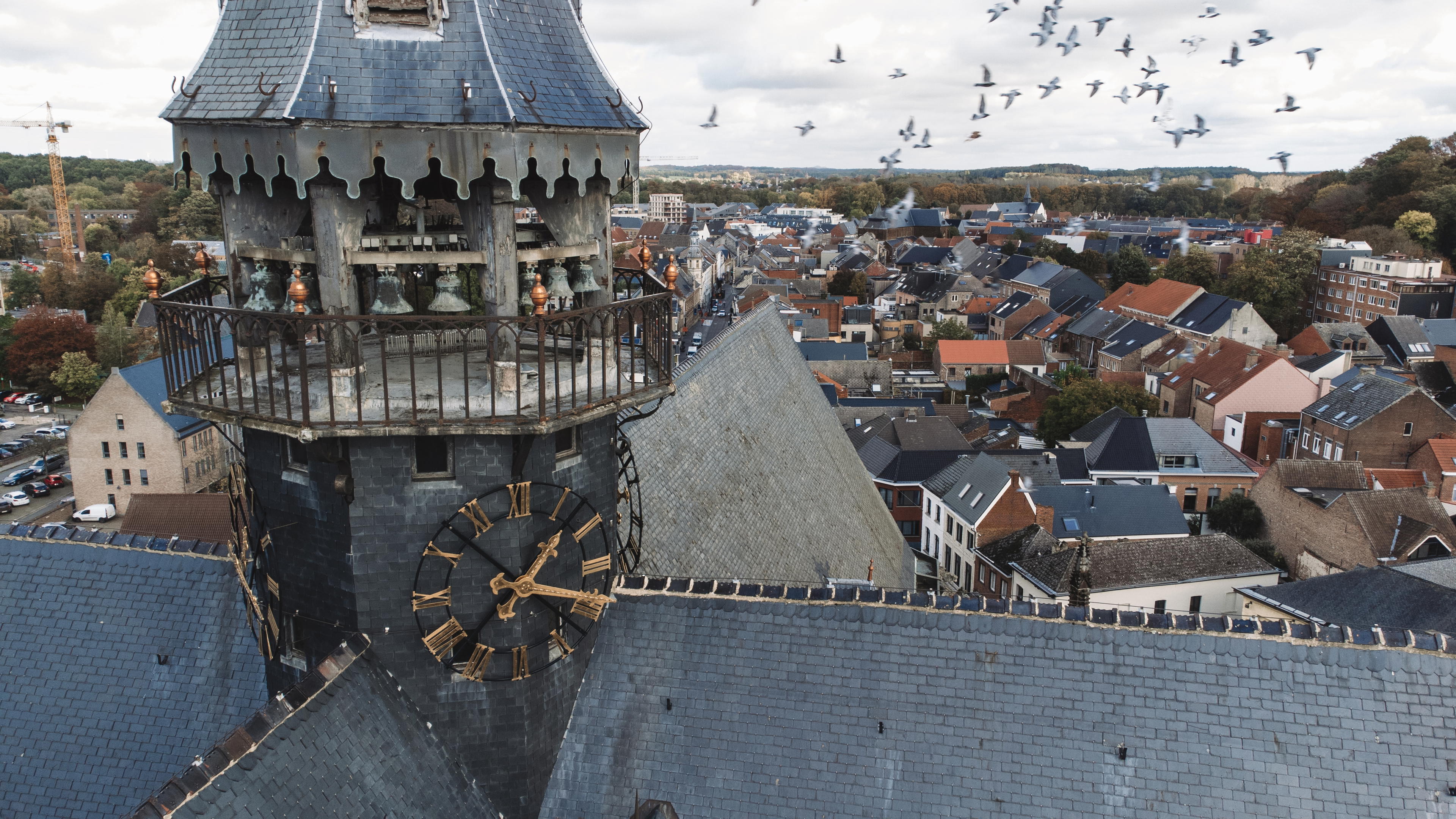 You can play the city game Urban Hunt in Diest